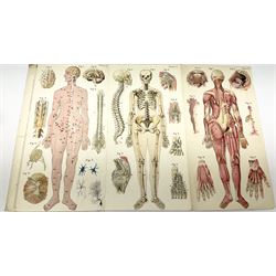 Bailliere's Popular Atlas of the Anatomy and Physiology of the Female Human Body, together with disbound medical books and works of Yorkshire interest, to include Beasley: The Book of Prescriptions, Beasley: Druggist's Receipt Book, Robinson's New Family Herbal, Hartley: Yorkshire Puddin', etc 
