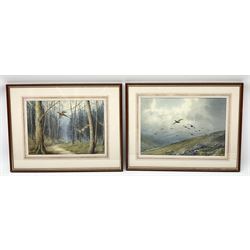 Cecil Thomas Hodgkinson (British 1895-1979): Pheasants in Flight, pair watercolours signed 22cm x 30cm (2)