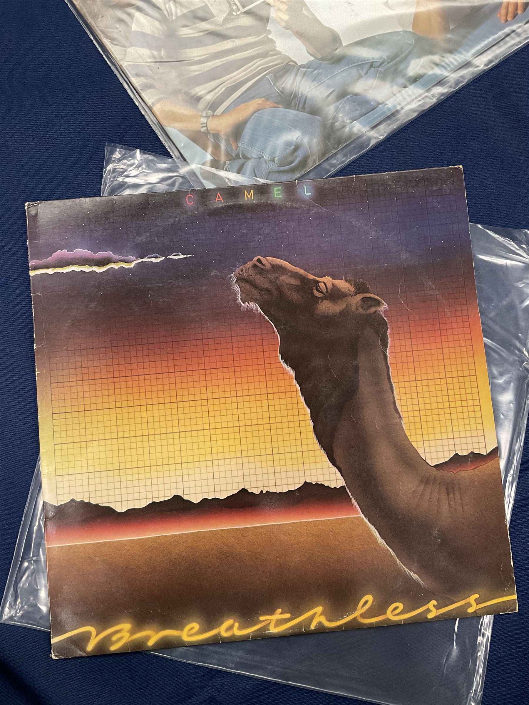 Camel vinyl LPs including 'Moonmadness', 'Mirage', 'Rain Dances', 'I Can See Your House From Here', 'Breathless', 'Nude' etc (10)