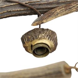 Antlers/Horns - Deer antler chandelier, of circular form, with five fitted lights