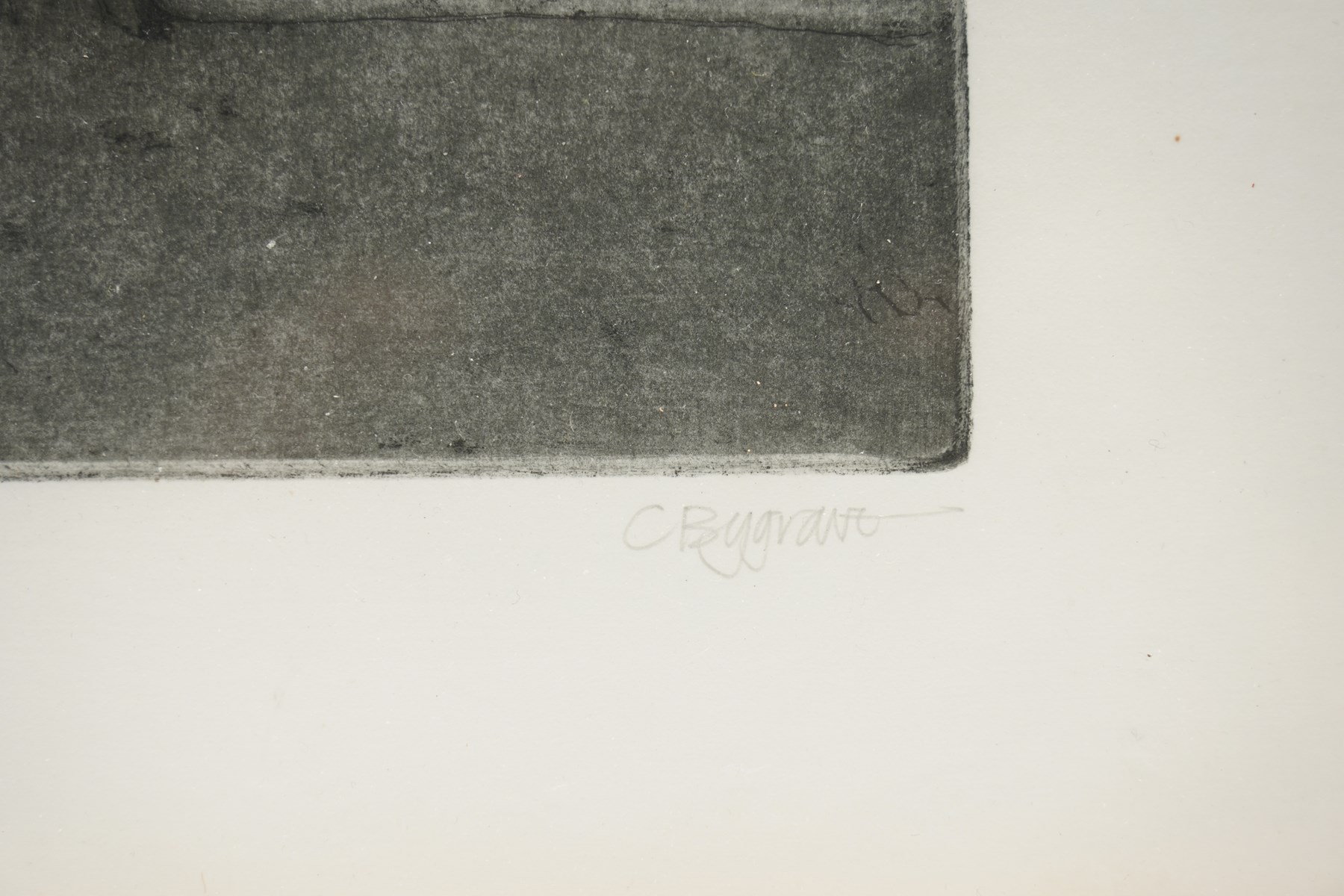 Colin Bygrave (British 1933-2020): 'House Among Pines' and 'Fitzwilliam Redwood', pair of monochrome etchings signed titled and numbered 5/150 and 3/90 in pencil, in matching frames max 41cm x 29cm (2)