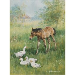 Glynn Williams (British 1955-): 'Foal and geese', oil on board signed, dated '93 on original receipt verso 19cm x 14cm
Provenance: with Hibbert Bros. Sheffield