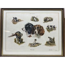 After Alan Ellison, limited edition colour print 'Working Springers' no.178/750 signed on the mount 43 x 59cm; and seven colour prints after Nigel Hemming of game birds and gun dogs; all framed (8)