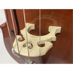 Gear 4 Music full size cello with a maple back and ribs and spruce top, ebony fittings and fingerboard, with two bows in hard case Length 123cm