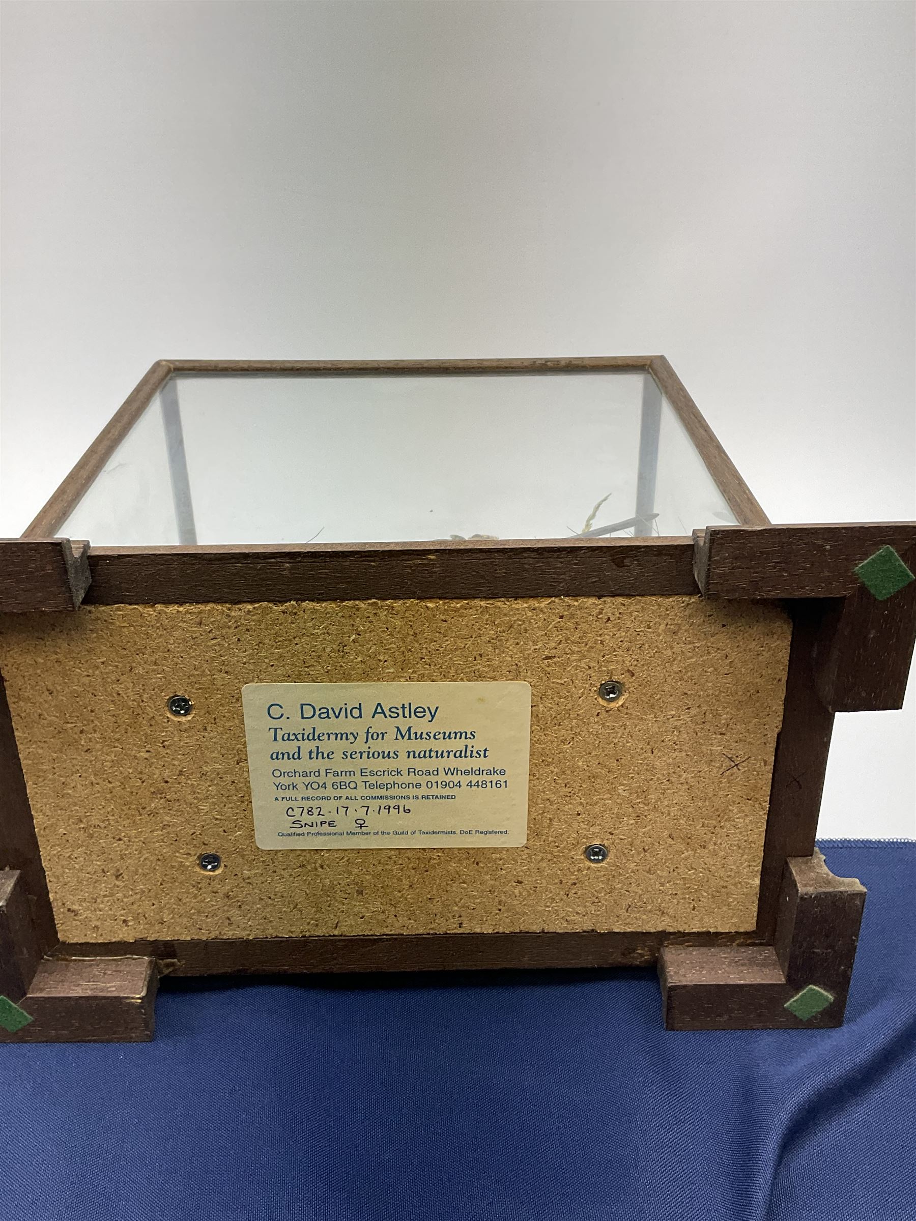 Taxidermy: 20th century cased  Common Snipe (Gallinago gallinago), mounted upon naturalistic ground work with soil and grasses, set against a painted sky backdrop, encased within a four pane display case with four bracket feet, with taxidermist paper label beneath detailed David Astley Taxidermist, H26.5cm L29cm D18.5cm