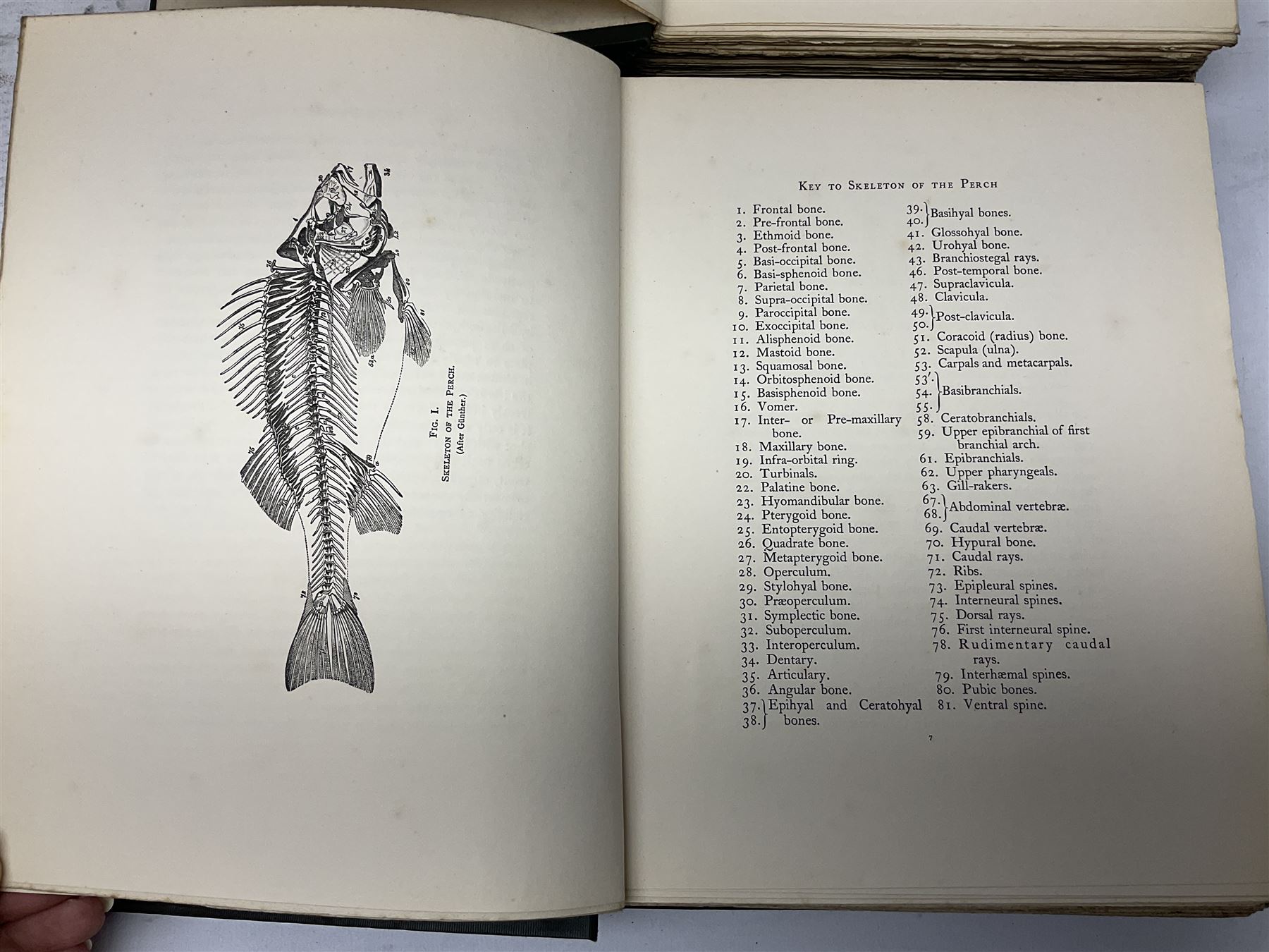 Maxwell, Herbert; 'British Fresh-Water Fish', Afalo, F.G; 'British Salt Water Fish', Hulme, F. Edward: 'Wild Fruits of the countryside' Boulger, G.S; Familiar Trees, two volumes, all with coloured plates, together with three other books