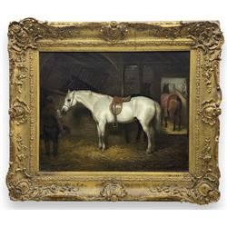 Hillyard (British 19th Century): Grey Hunter in a Stable - Horse Portrait, oil on canvas unsigned, attributed on the mount, in heavily ornamented swept gilt frame, 41cm x 51cm 