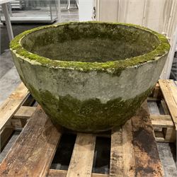 Large weathered cast stone planter  - THIS LOT IS TO BE COLLECTED BY APPOINTMENT FROM DUGGLEBY STORAGE, GREAT HILL, EASTFIELD, SCARBOROUGH, YO11 3TX