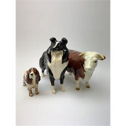 A Beswick figure of a Herford Bull, CH of Champions, together with a Beswick Collie, and a Beswick Spaniel. (3). 