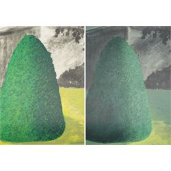 Ivor Abrahams (British 1935-2015): 'Suburban Shrubs I & II', pair lithographs signed dated '72 and numbered AP and 6/30 in pencil 83cm x 62cm (2) (unframed)