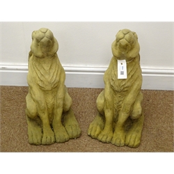  Pair composite stone seat hare garden figures, H47cm  