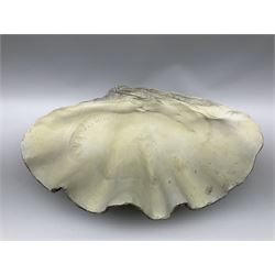 A composite model of a clam shell, L69.5cm D40cm.