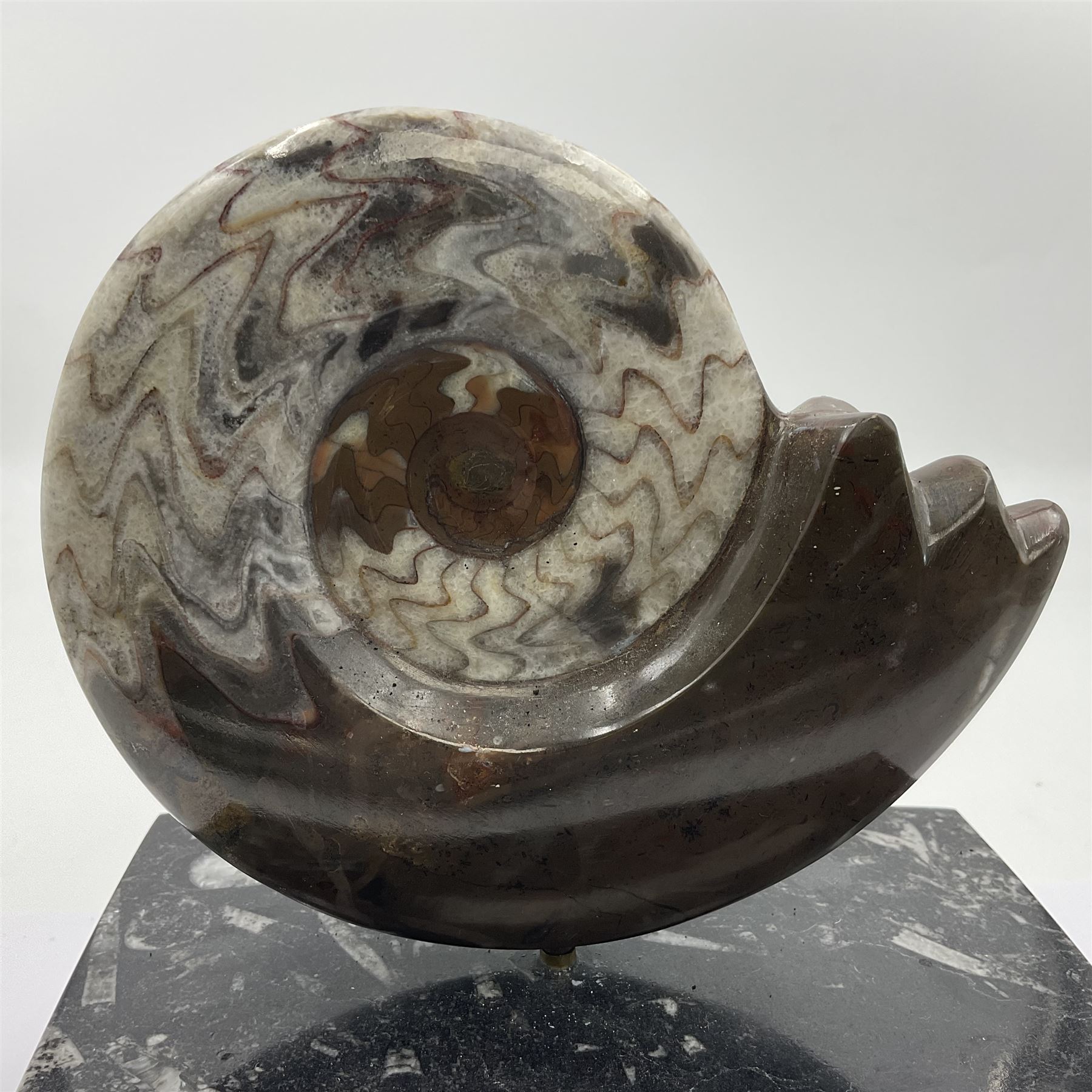 Goninite sculpture, poslised goninite, mounted upon a rectangular marble base with with orthoceras and goniatite inclusions, age: Devonian period, location: Morocco, H18cm