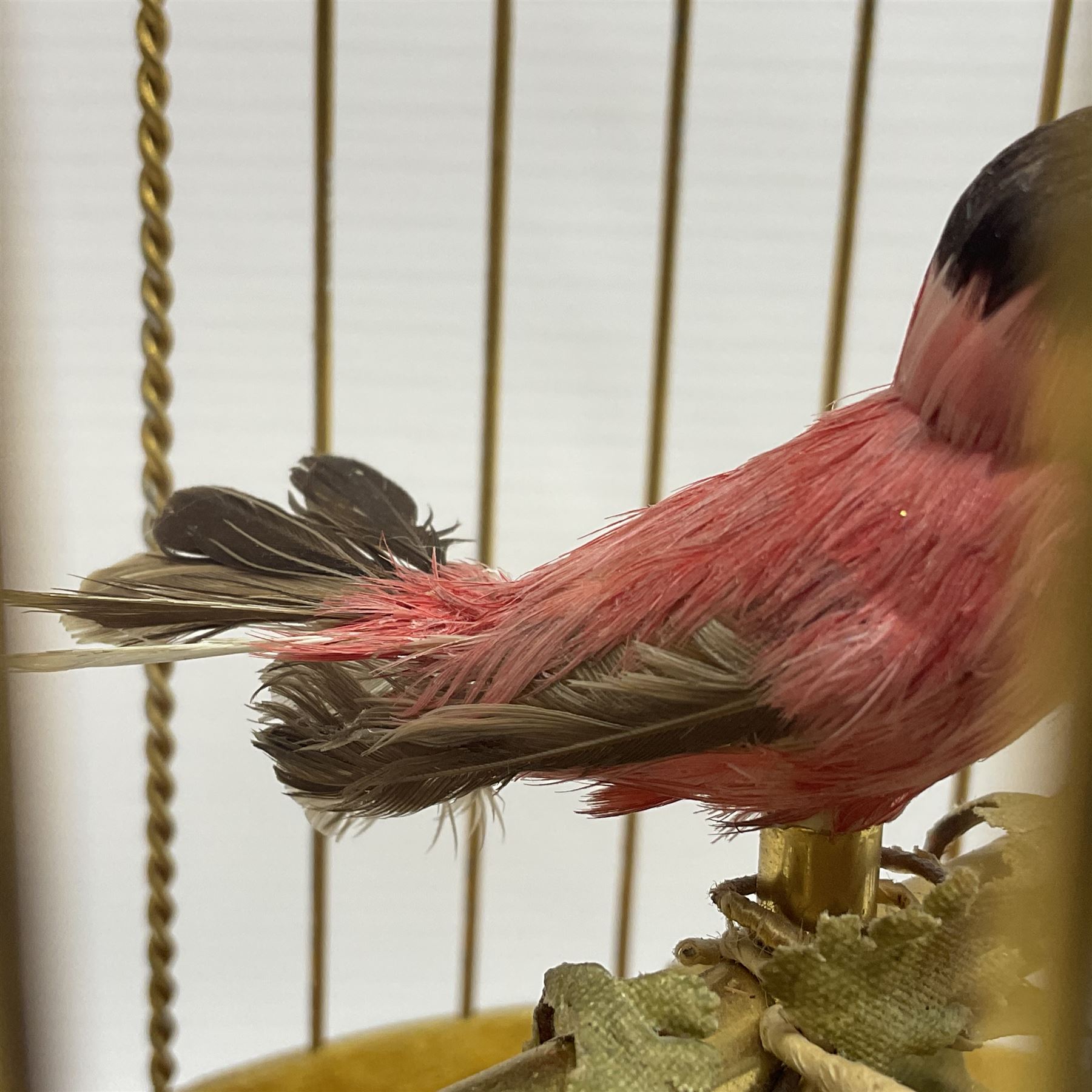 Swiss Reuge Music bird cage automaton music box, the bird with articulated head and beak, in a gilt brass cage, with a glass dome and stand, H30cm