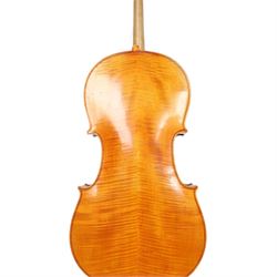 19th century cello, with two piece back and ebonised finger board, contained within a hardcase, cello back length 75cm