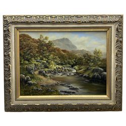 Carl Whitfield (British 1958-): Upland River Landscape, oil on canvas signed 48cm x 60cm