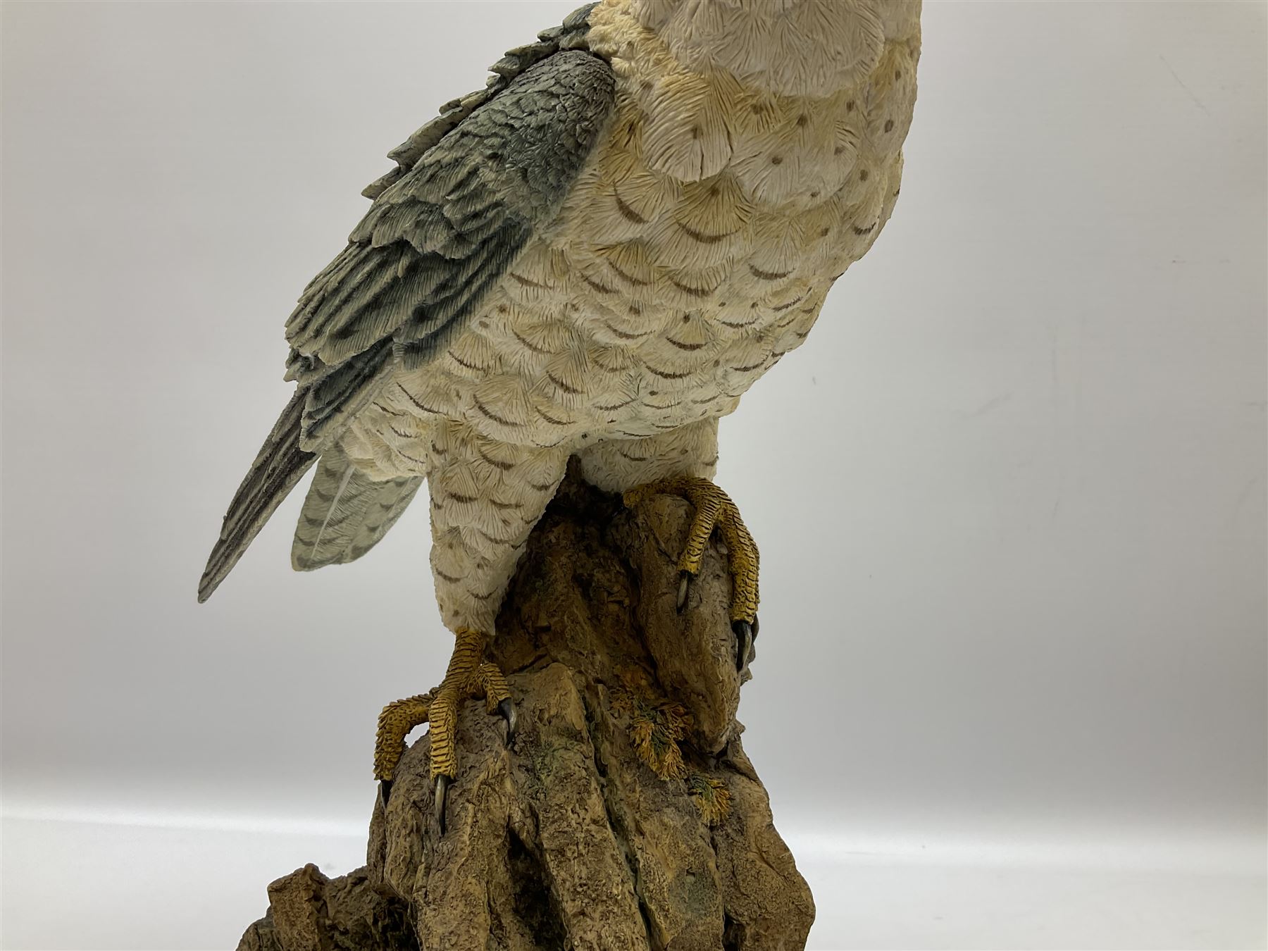 Country Artists figure of a peregrine falcon ' Lord of the Skies ' by David Ivey, limited edition, H44cm, together with two Sherratt and Simpson figures, both of peregrine falcons perched on branches. 
