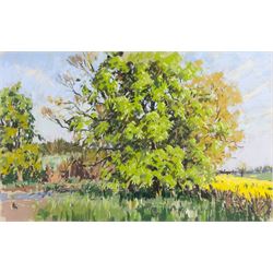 Angus Bernard Rands (British 1922-1985): Village Haystacks and Trees, three pastels signed, largest 44cm x 70cm (3)