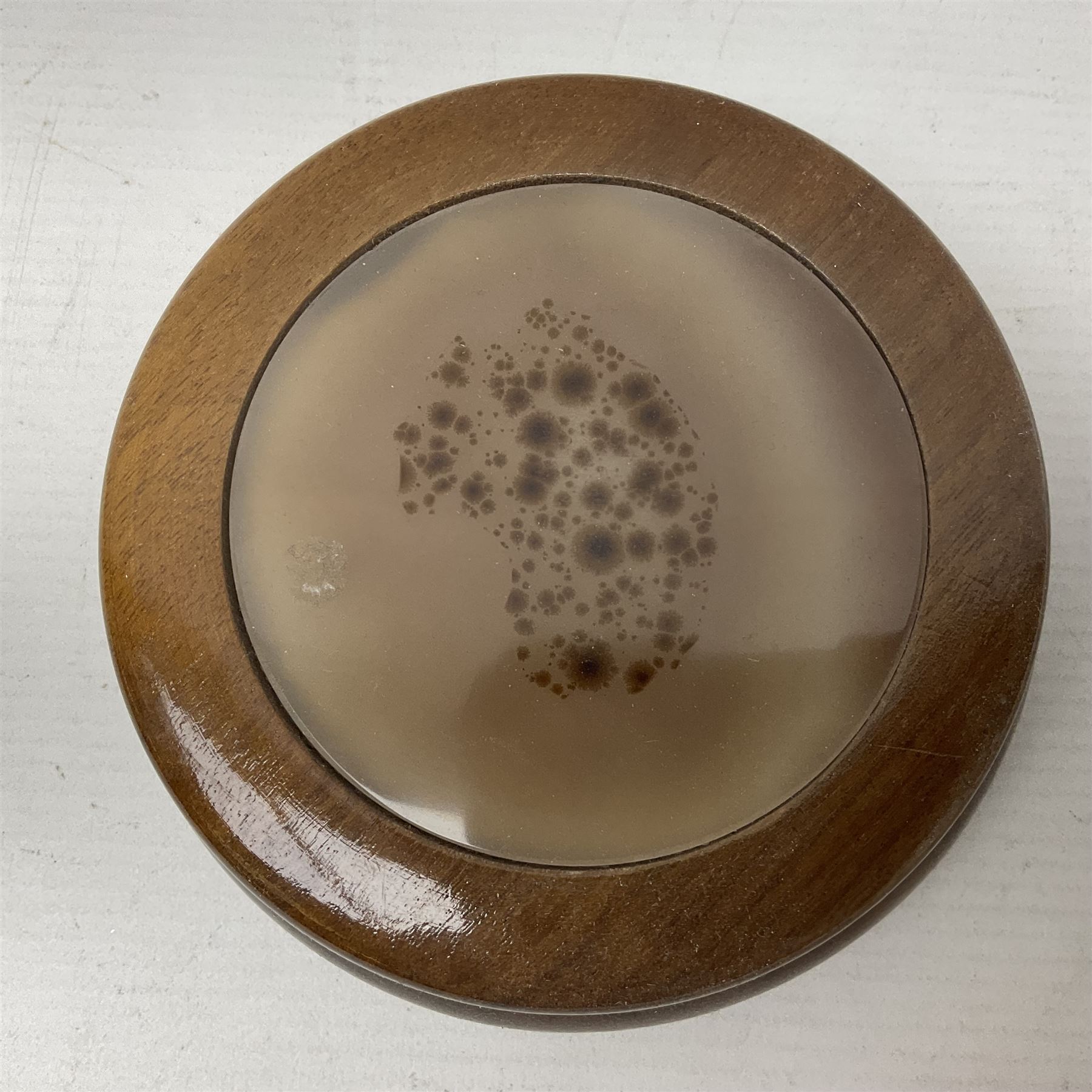 Polished wooden box, with a brown agate slice to the lid, H5cm, D12cm