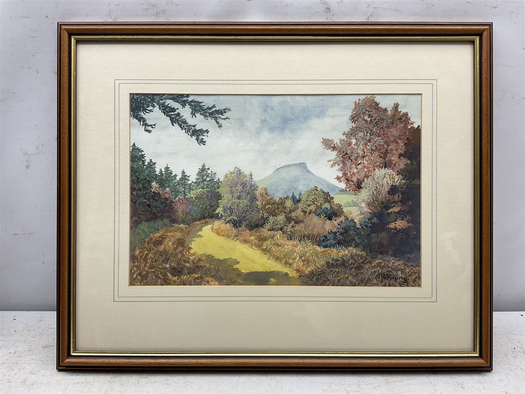 R Young (British 20th century): Roseberry Topping, watercolour signed 24cm x 36cm