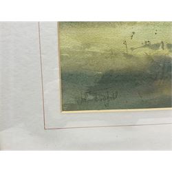 John Threlfall (British 1958-): Lapwing, watercolour signed 20cm x 32cm
