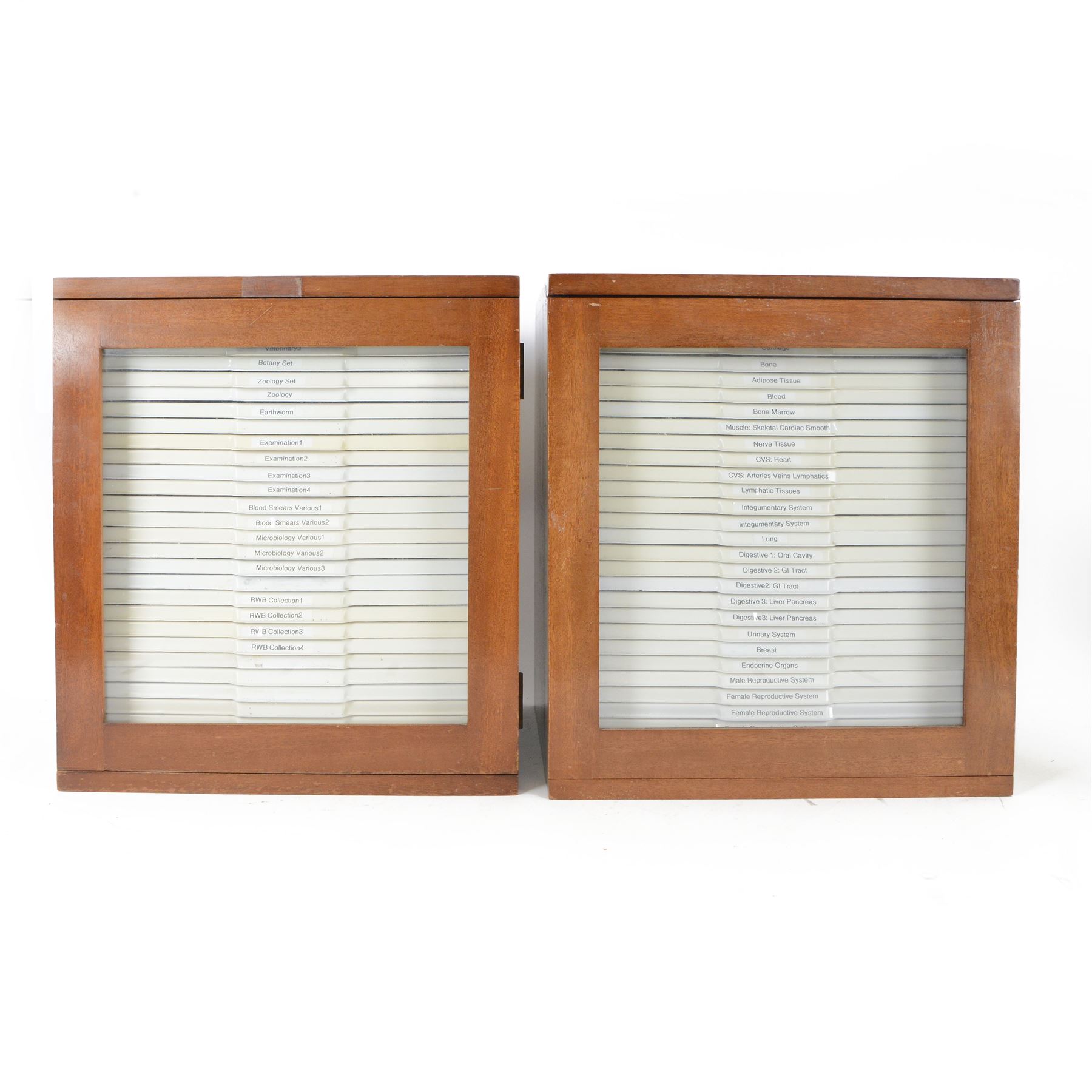 Large collection of prepared microscope slides, including animal and human pathological, physiological and histological specimens and botanical specimens, mostly annotated in ink, with examples including earthworm ovary, pneumonia lung, tip of a human tongue and rabbit cerebellum, contained within two mid 20th century wooden specimen cabinets with glazed doors, each containing twenty-eight plastic slide trays, cabinet H46cm