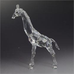 Three Swarovski figures, comprising Giraffe, Cobra and Budgies, all with original boxes  