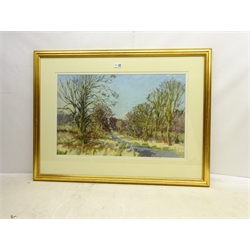  Angus Rands (British 1922-1985): 'Near Castle Howard', pastel signed, dated 4-1-83 verso 40cm x 63cm  DDS - Artist's resale rights may apply to this lot   