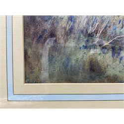 Henry John Sylvester Stannard RBA (British 1870-1951): Flushing Pheasants, watercolour signed 31cm x 52cm 