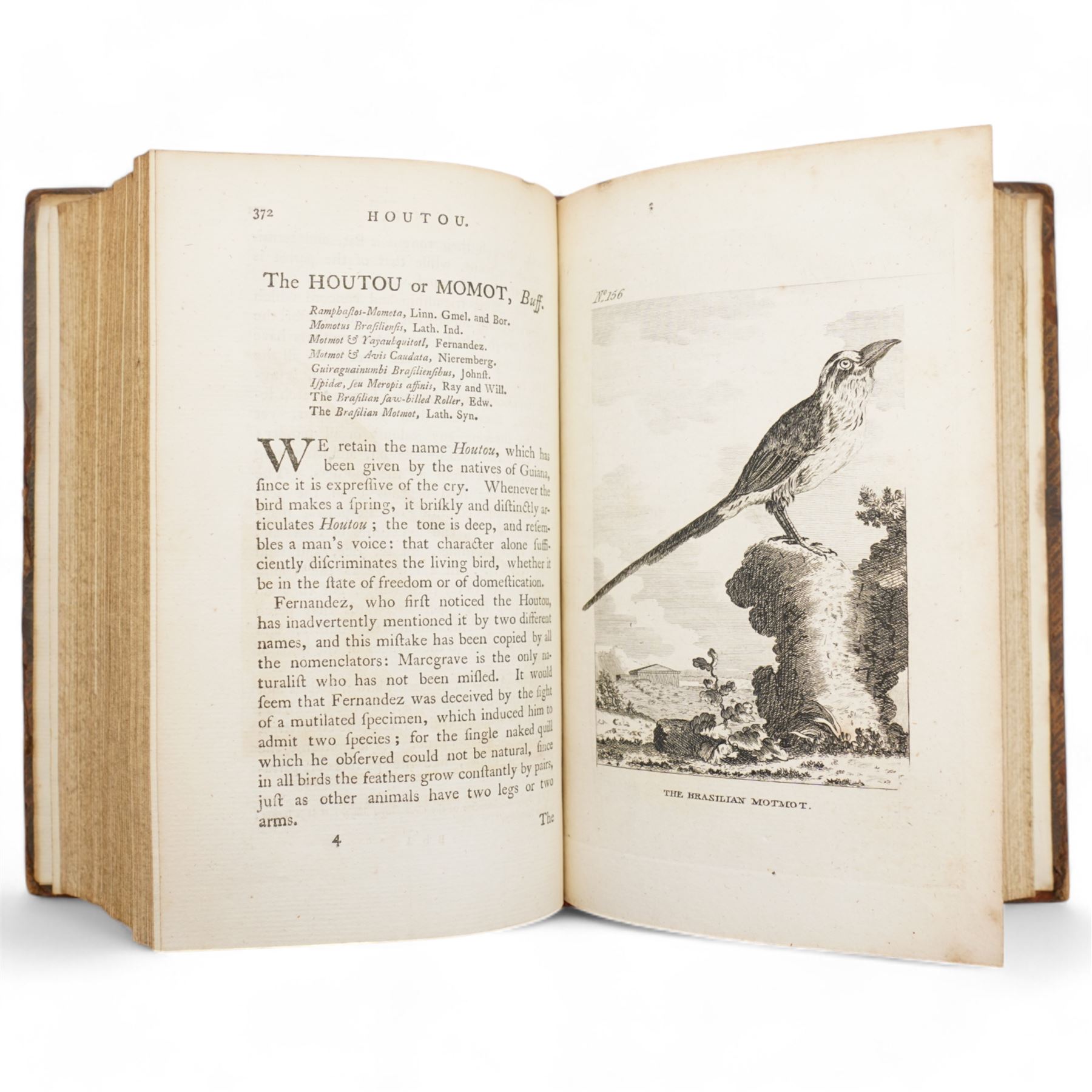 Buffon, Georges Louis le Clerc, Comte de - 'The Natural History of Birds', from the French, nine volumes 1st edition in English with engraved plates printed for A Strahan, T Cadell and J Murray, 1793 uniformly bound in tree calf