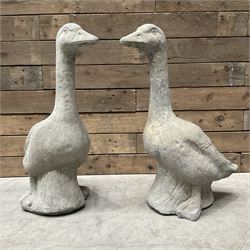 Pair of cast stone garden geese