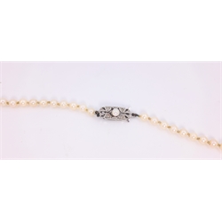  Single strand graduating pearl necklace, on pearl set white gold clasp stamped 9ct  