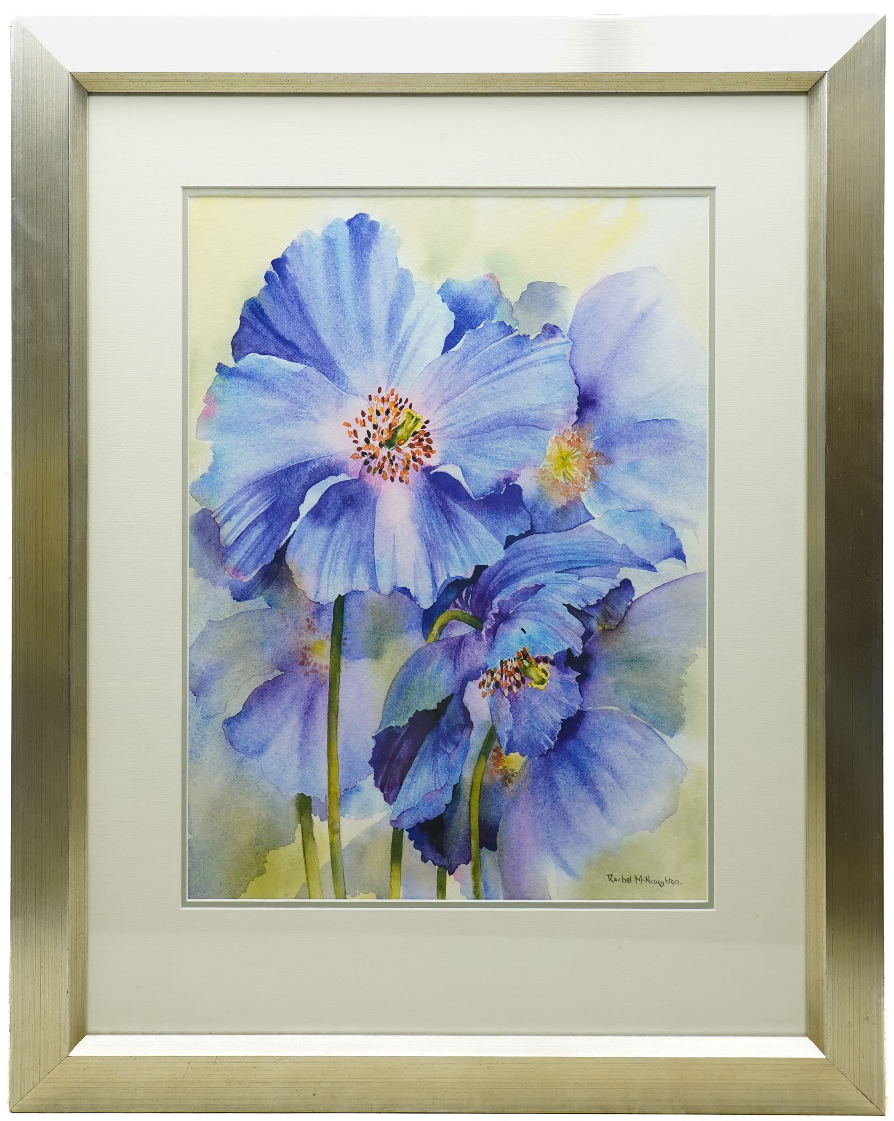 Rachel McNaughton (British Contemporary): Still Life of Purple Flowers, watercolour signed 49cm x 36cm 