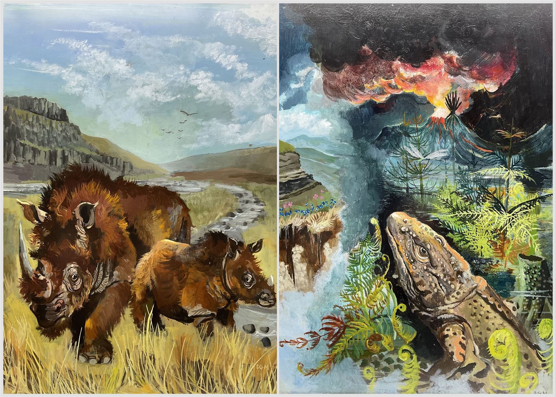 Sheila Gertrude Mackie (Northern British 1928-2010): Sumatran Rhinoceroses in the Plains and Alligator in Volcanic Landscape, pair oils on board signed with initials max 51cm x 38cm (2)
Notes: these pictures are originals from the illustrations used in 'The Great Seasons’ by David Bellamy