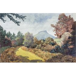 R Young (British 20th century): Roseberry Topping, watercolour signed 24cm x 36cm