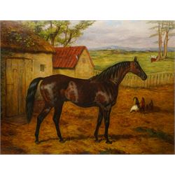 Harry Hall (British 1815-1882): 'Adventurer' a Dark Bay Racehorse Standing in a Farmyard, oil on canvas signed and dated 1882, 70cm x 90cm
Notes: Adventurer was one of Newminster's sons and a well respected racehorse in the late 19th century; after retirement he became a successful stallion himself.