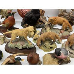 British wildlife, dogs and other animal figures, to include examples by Border Fine Arts, Teviotdale and David Hughes, etc