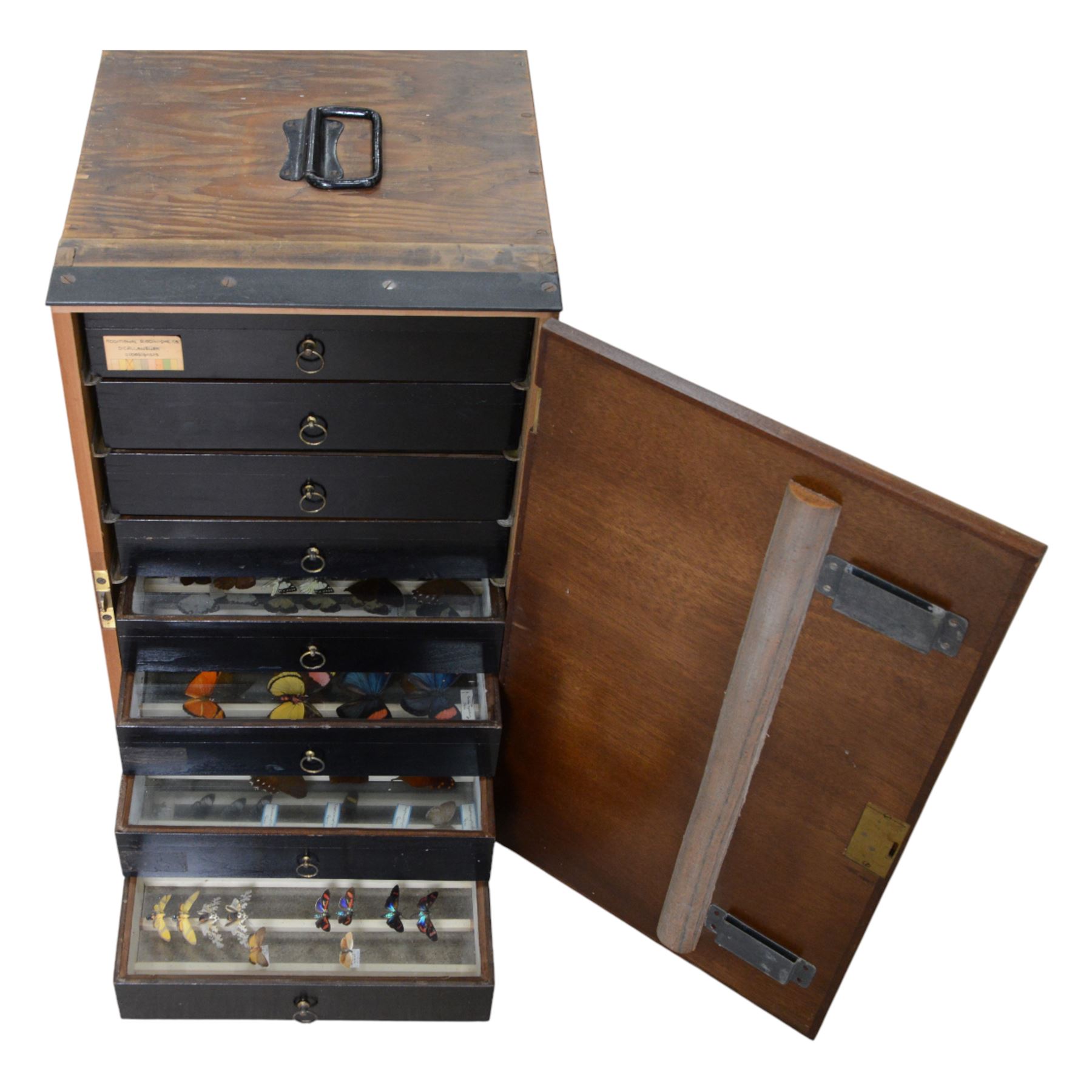 Entomology; British Natural History Museum wartime cabinets with eight double glazed draws with over two hundred butterfly specimens, including Lycaenidae, Dismorphia, Satyridae, Nymphalidae etc, The cabinets were used to house the entire collection of insects from the British Natural History Museum, which in turn were removed from the Museum to a safe place away from the London Blitz during World War Two, there were eight draws to each cabinet which had handles on the top for ease of lifting and transportation.They have adjustable corked wood slats so as to accommodate various size insects (Wing Spans etc), whilst keeping them in neat rows 