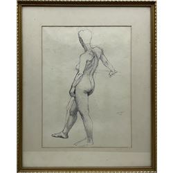 Anne Isabella Brooke (British 1916-2002): Female Nude Life Study's, one pencil the other pen and ink signed, dated '77 and '94 max 49cm x 36cm (2)
Notes: painter and teacher born at South Crosland, Yorkshire principally known for her landscape oils. She attended Chelsea School of Art 1937-39, Huddersfield School of Art 1939-41 and London University. Lived in Harrogate