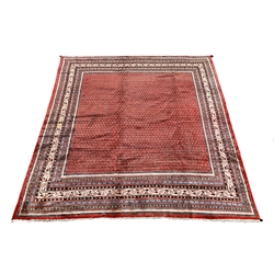 Large Persian Araak rug carpet, the red field decorated with repeating boteh motifs, multiple band border, 364cm x 304cm 