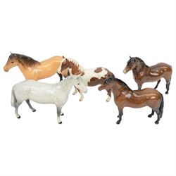 Five Beswick horses, including Skewbald Pinto no 1373, Dartmoor 1642, Dunn Highland no 1644 etc