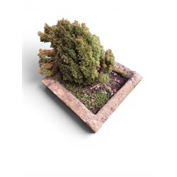 19th century hewn stone planter of square form, planted 