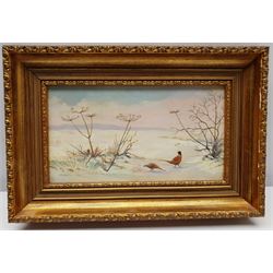 Berrisford Hill (British 1930-): Pheasants in the Snow, oil on board signed 12cm x 24cm