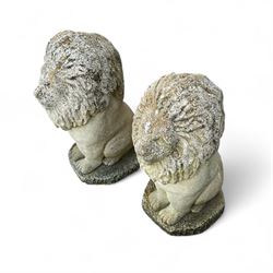 Pair of cast stone lion statues on plinths