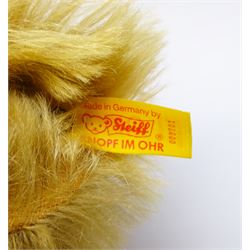 Steiff Replica 1903 Classic teddy bear, the golden mohair body with press squeaker and card tag No.000201 H21