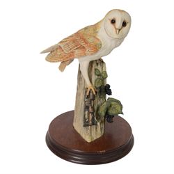 Four Border Fine Arts bird figures, comprising Patience, Courting Grebes, Barn Owl RB15and Golden Eagle RB40, all on wooden plinths, tallest H24cm
