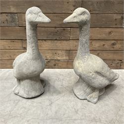 Pair of cast stone garden geese