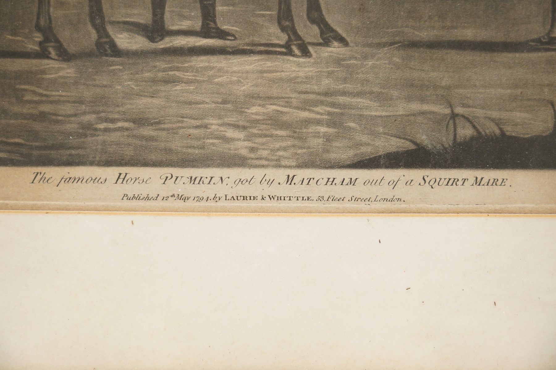 John June (British fl.1740-1770) after Francis Sartorius (British 1734-1804): 'The Famous Horse Pumkin', etching p.1794 unsigned 25cm x 35cm; John Harris Jr. (British 1791-1873) after Major General Walter Fane (British 1828-1885): 'Portraits - 2nd Punjab Cavalry', hand-coloured etching p.1856 unsigned 26.5cm x 35cm (2)