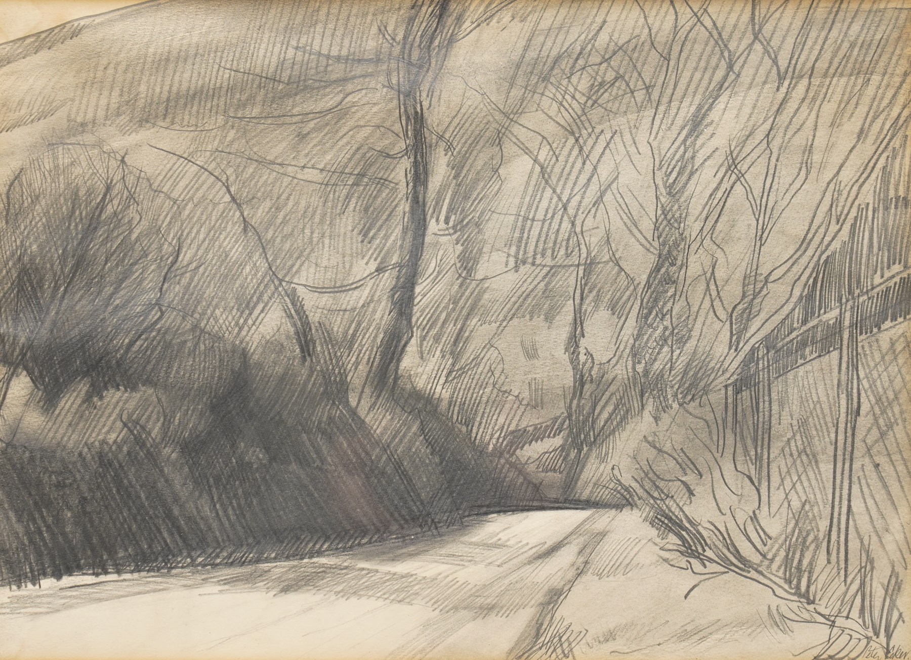 Peter Godfrey Coker RA (British 1926-2004): 'Near Cranham Hill' - Gloucestershire, graphite pencil drawing signed, titled on Thackeray Gallery label verso 26.5cm x 37cm