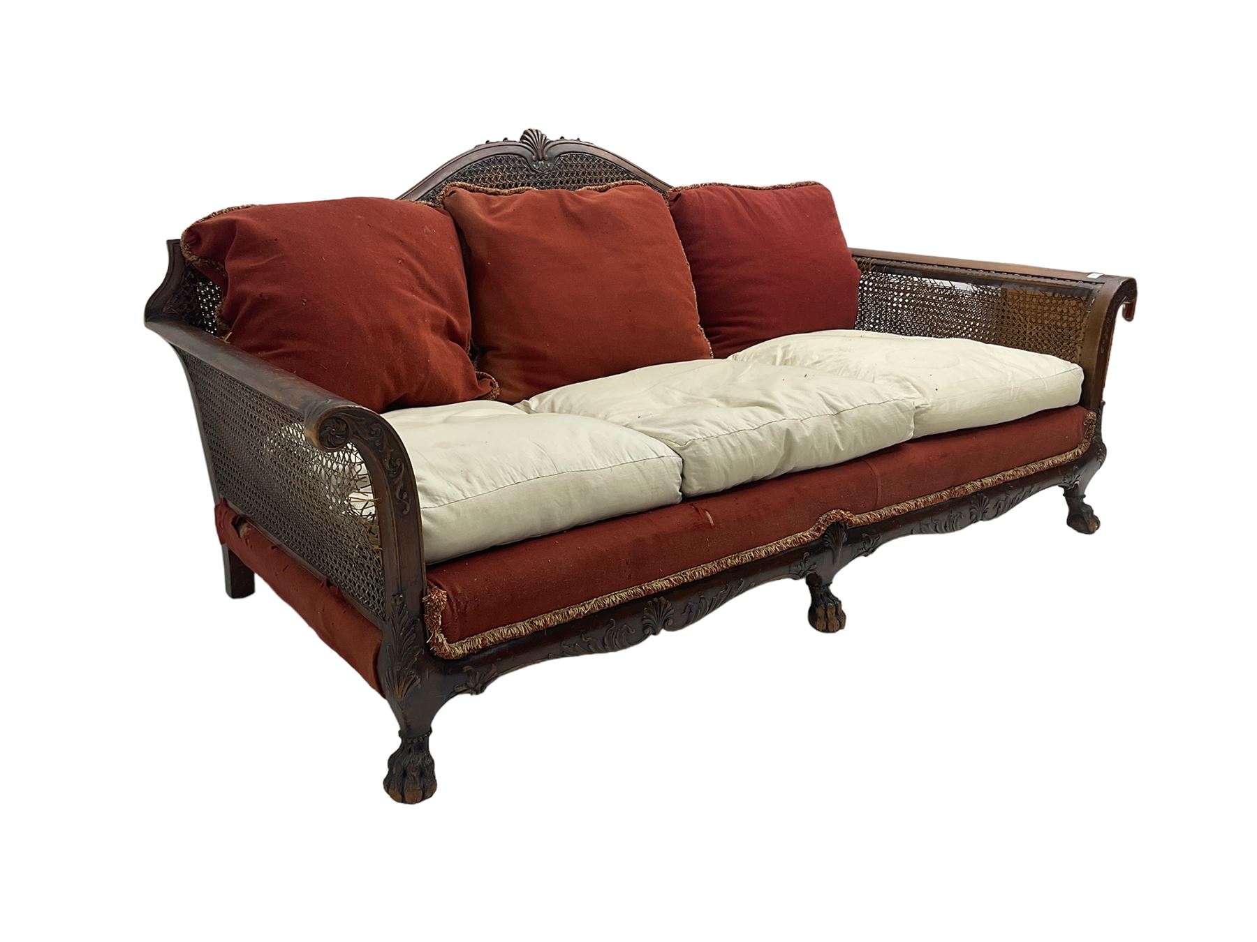 Early 20th century bergère three seat settee, shaped shell carved cresting rail, double caned back and sides, scrolled upright arms and shaped apron carved with shell and foliage, on hairy paw carved feet